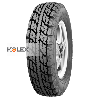 АЛТАЙШИНА БС-1